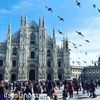 ifsmilano ifsmilano